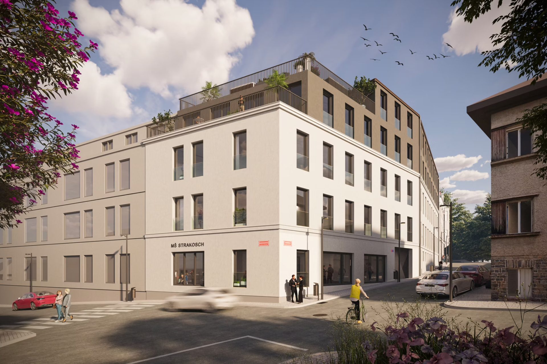 Developersky projekt Strakosch