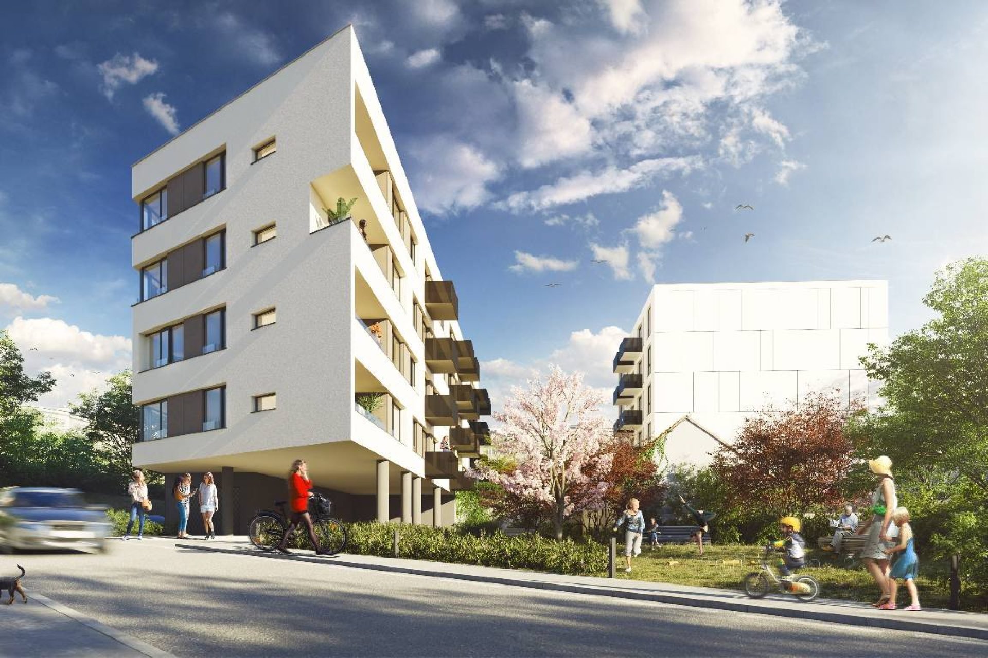 Developersky projekt Starokošířská Avenue 3