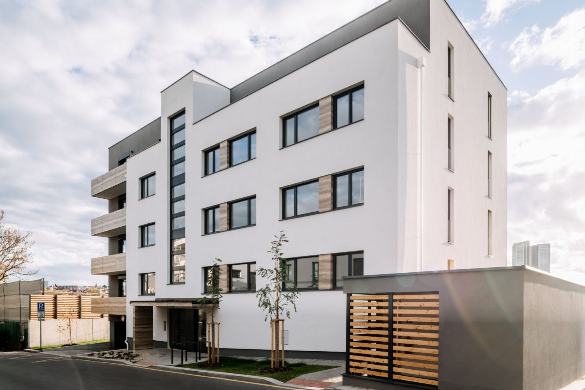 Developersky projekt Vila dům Na Vinici