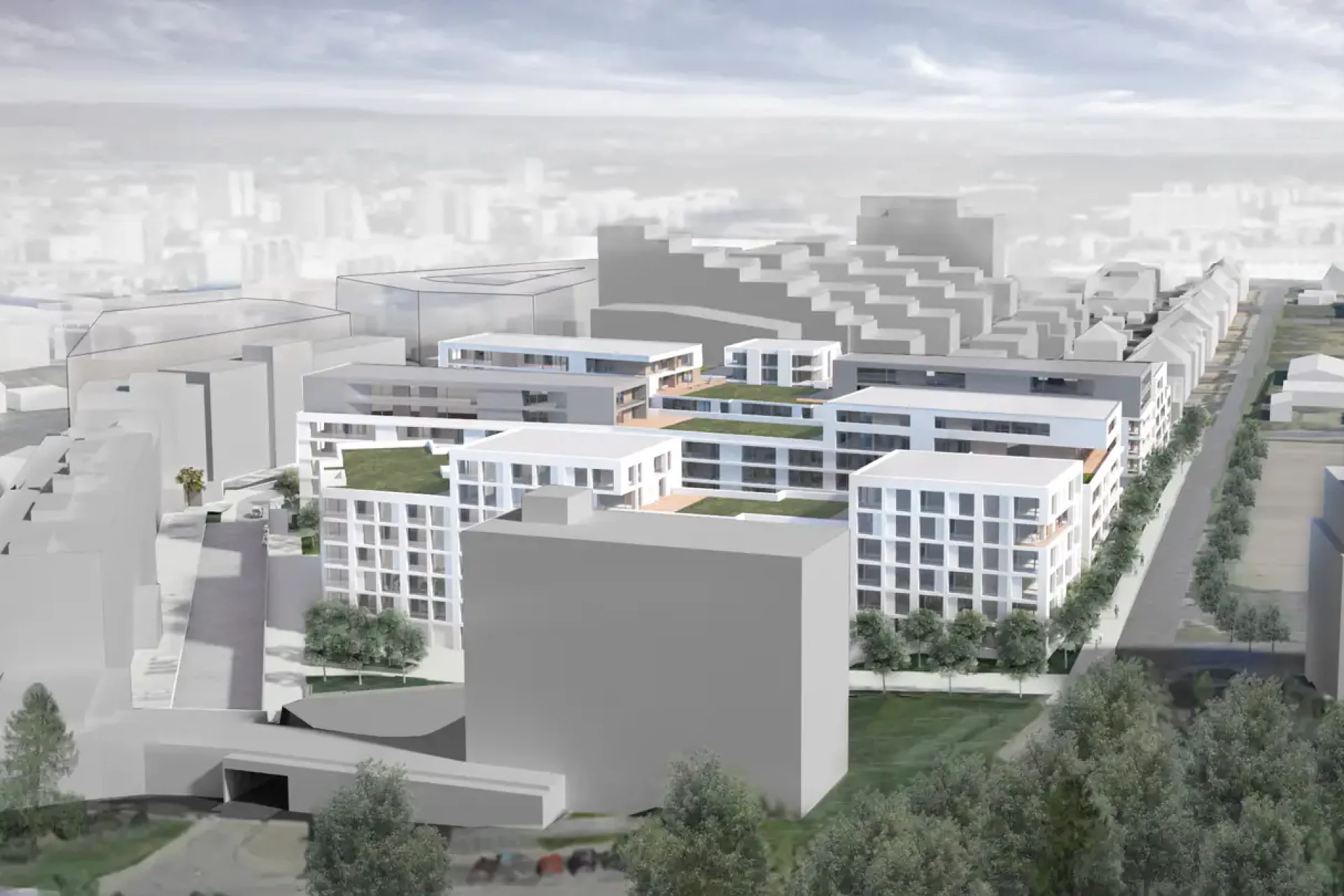 Developersky projekt Nagano Park 4