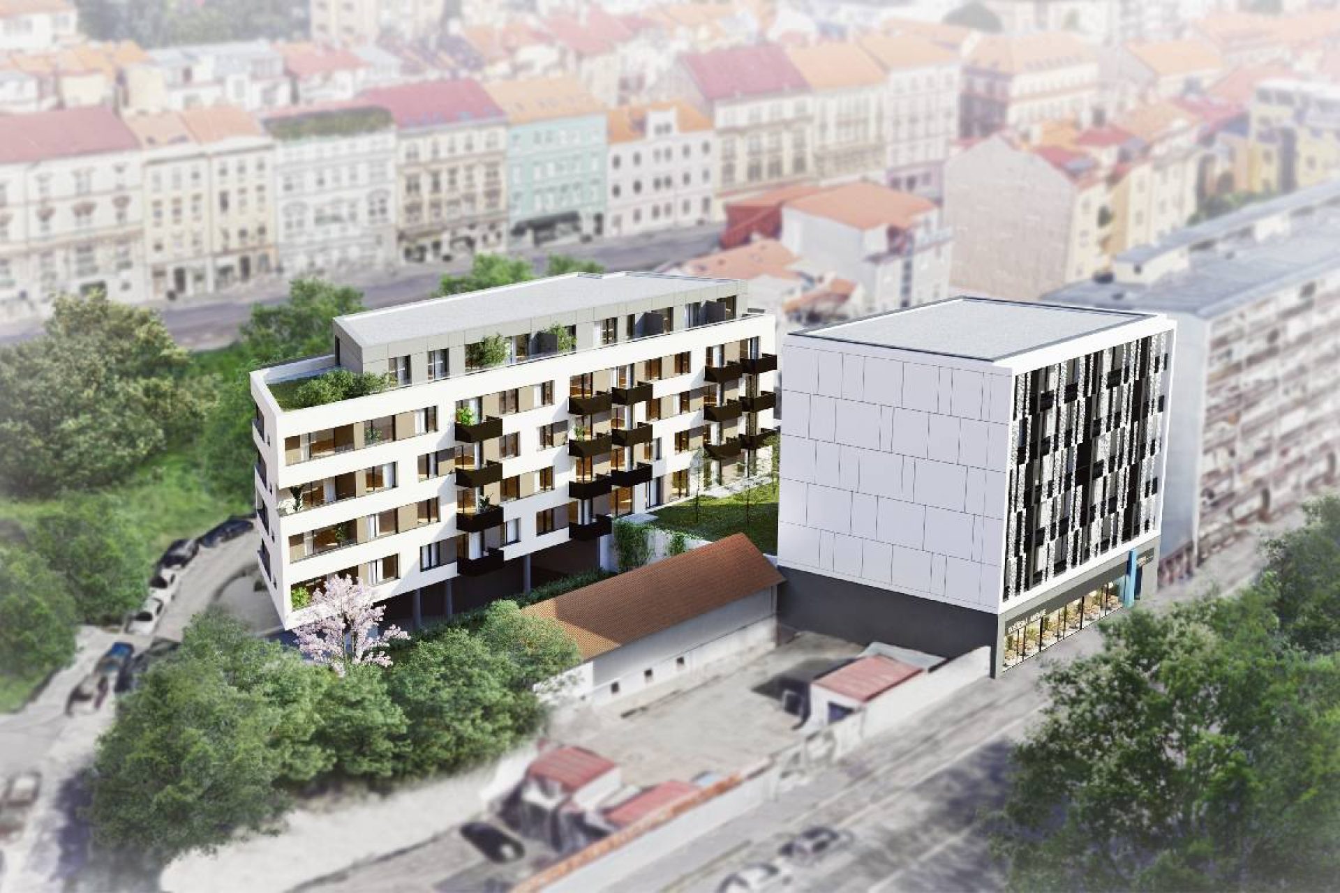 Developersky projekt Starokošířská Avenue 4