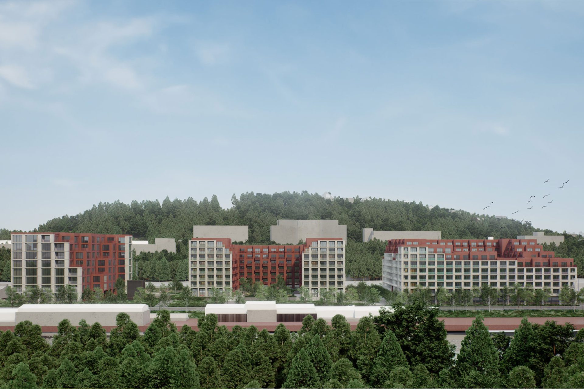 Developersky projekt Vltava Meadows 3