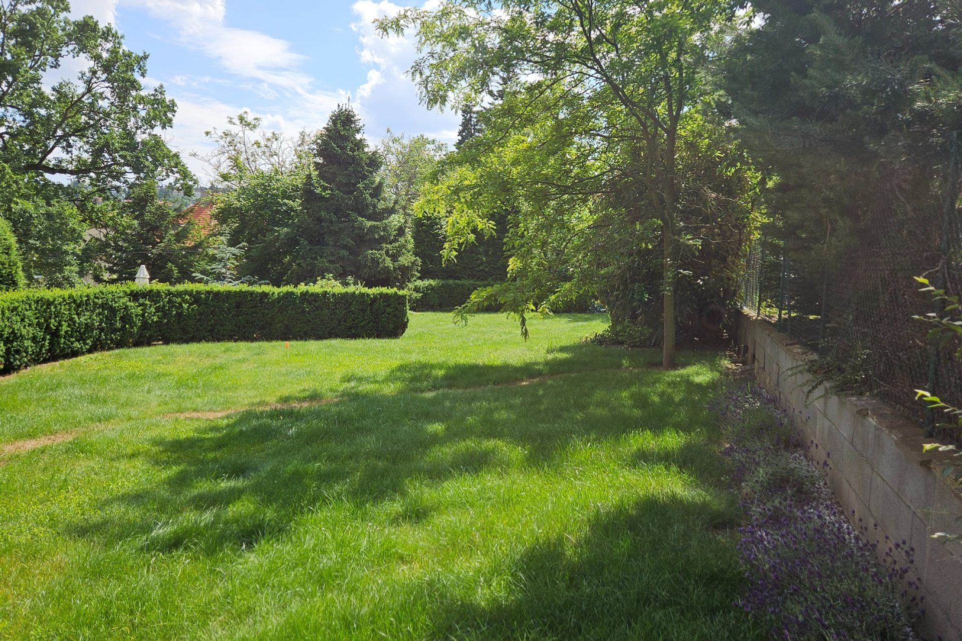 Developersky projekt U Hadovky 11 5