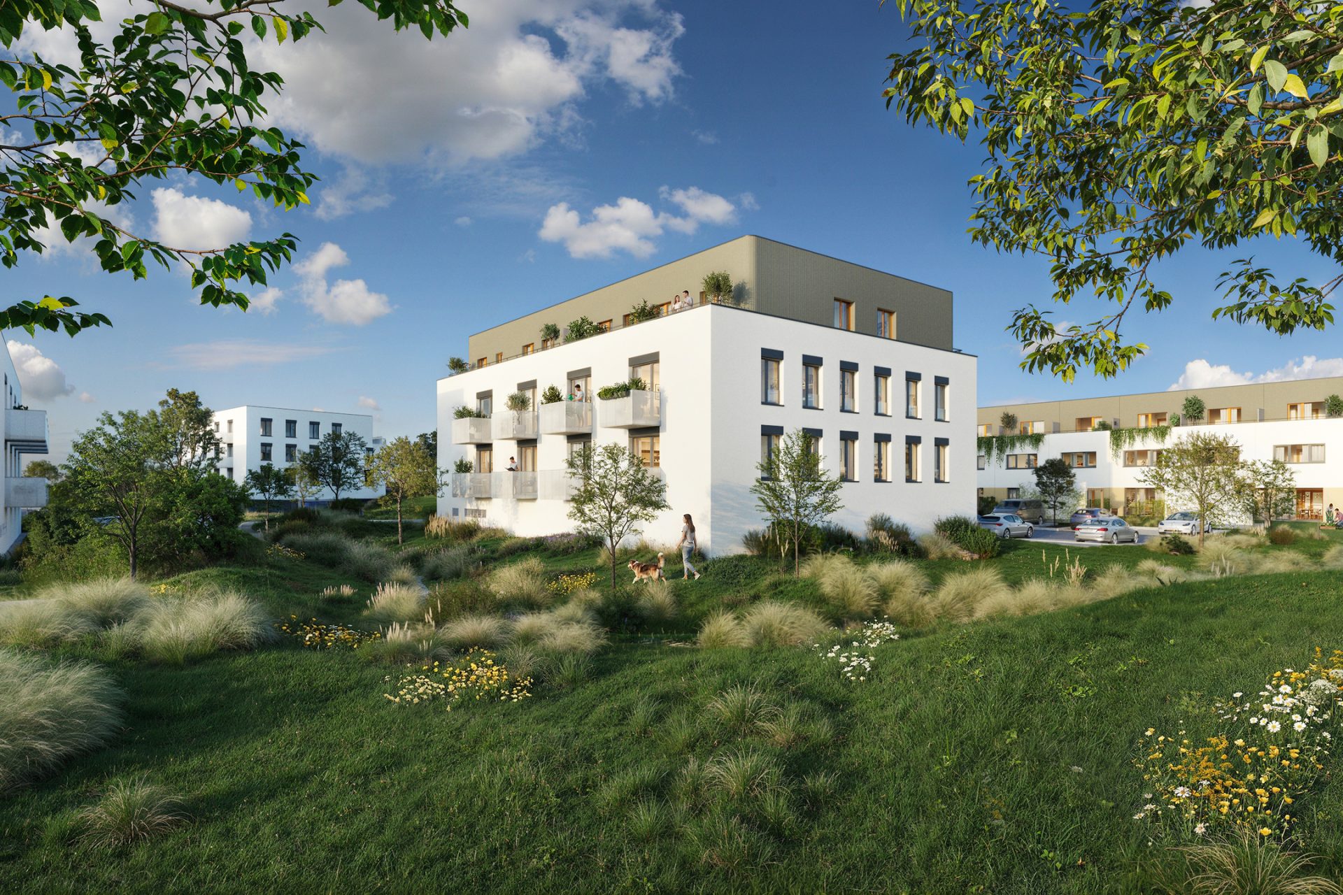 Developersky projekt Evergreen