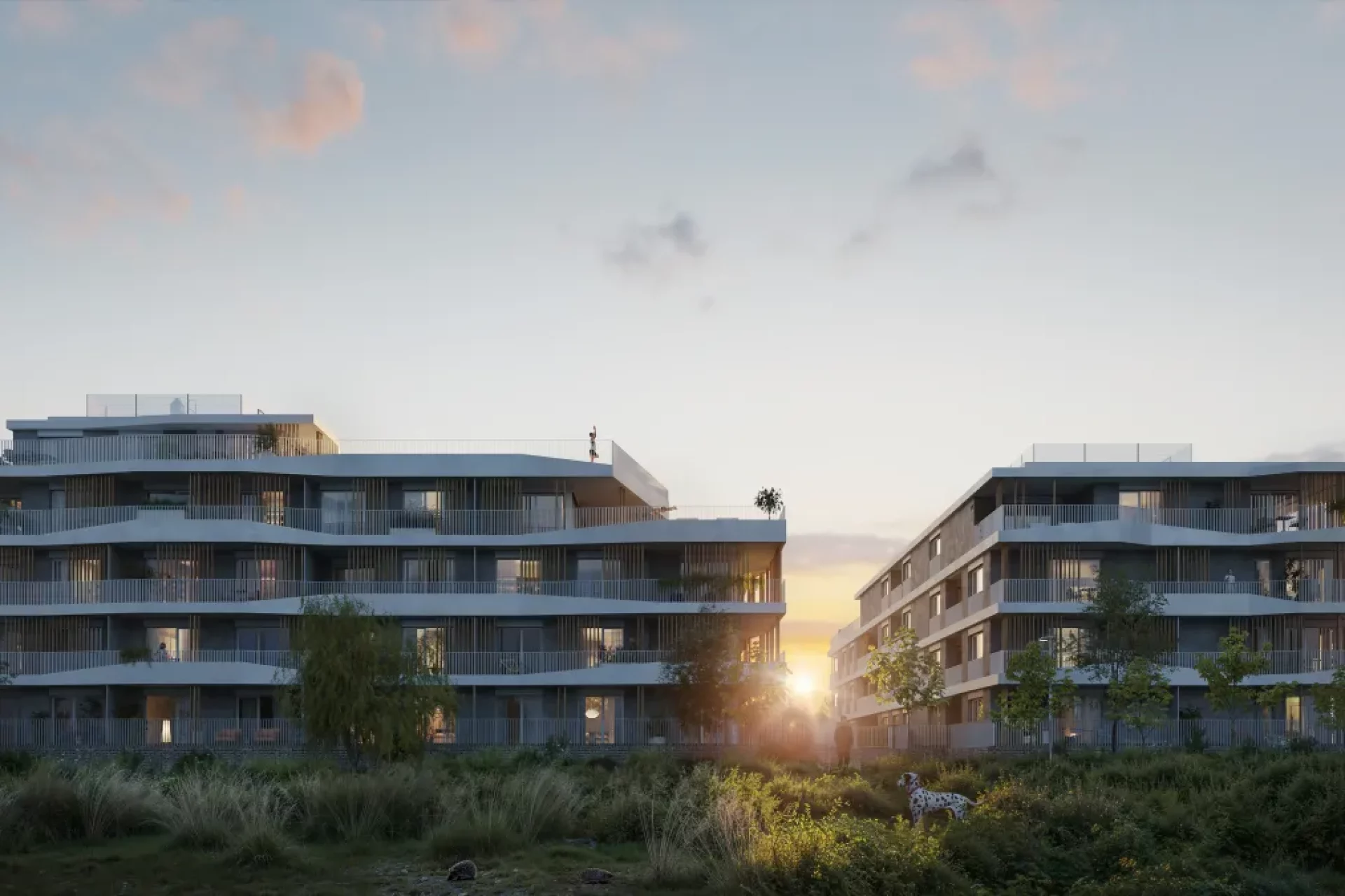 Developersky projekt Proxima Chabry