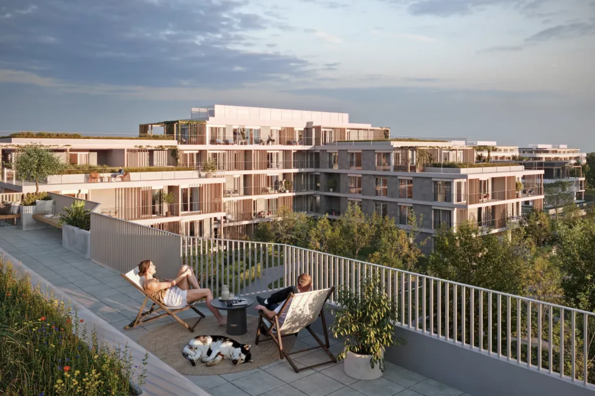 Developersky projekt Proxima Chabry 3