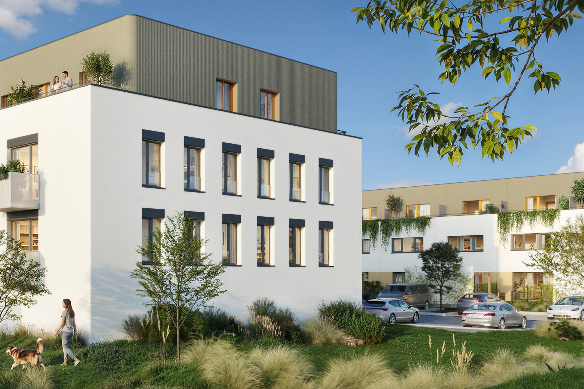 Developersky projekt Evergreen 3