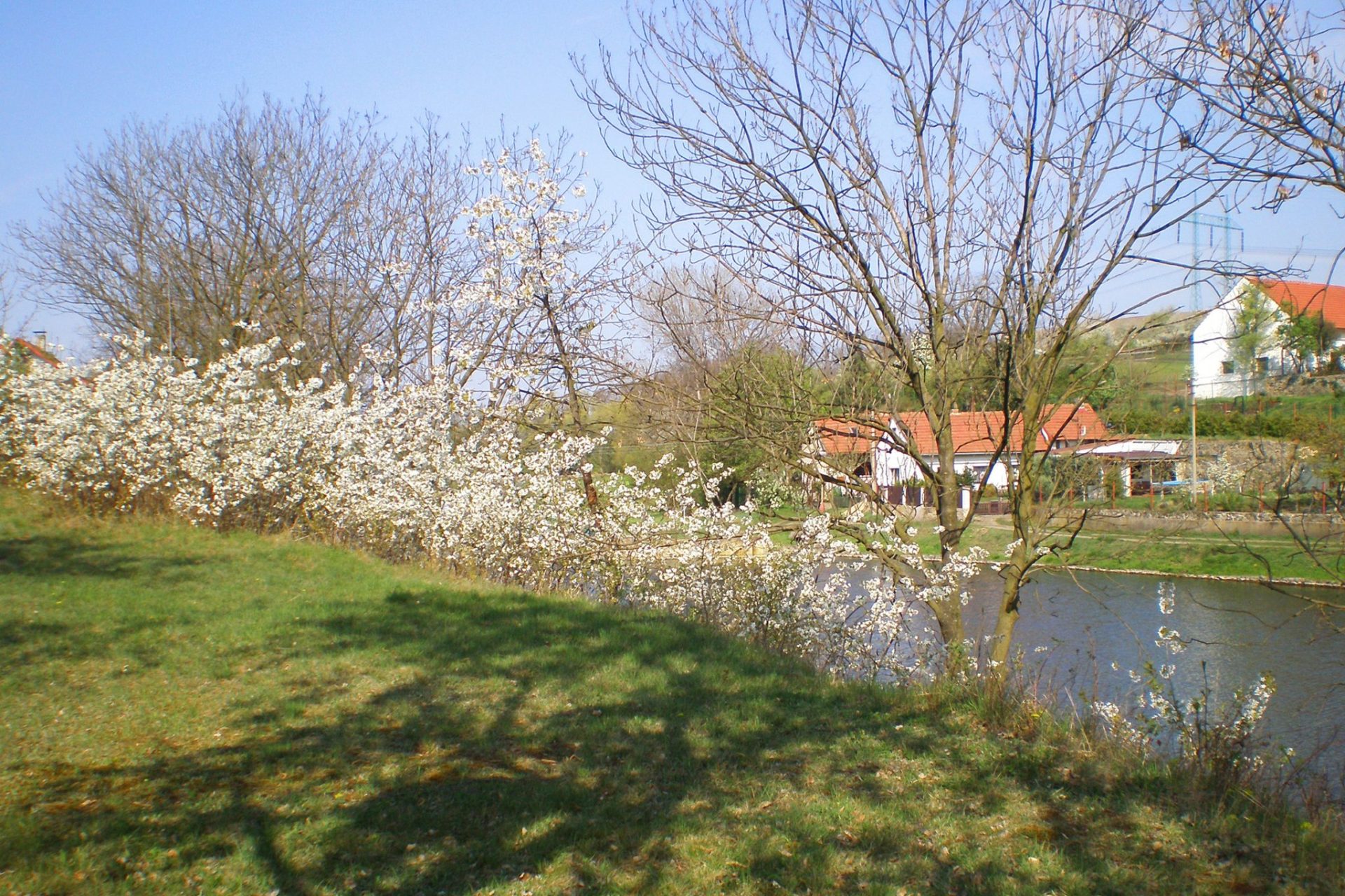 Developersky projekt Dolínek 4