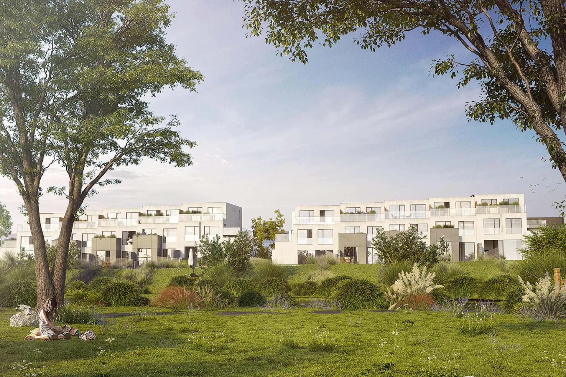 Developersky projekt Lipenecký Park