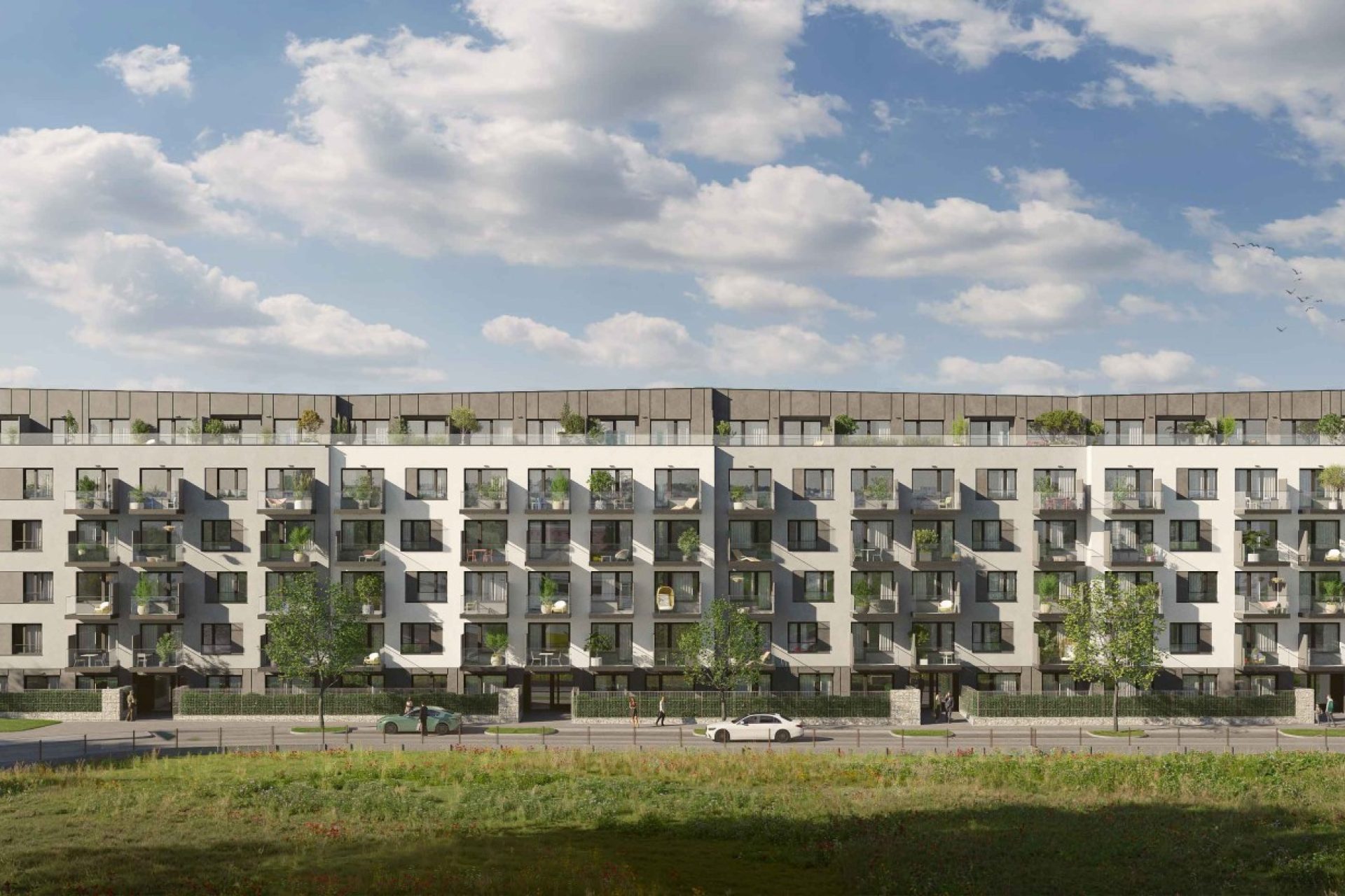 Developersky projekt Arboret 4